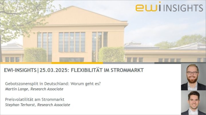 Flexibilität im Strommarkt: Gebotszonensplit und Preisvolatilität